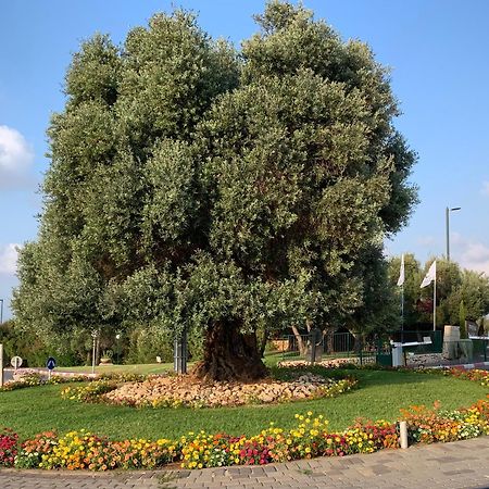 Mina'S Suites - קיסריה Exterior foto